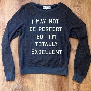 WILDFOX BBJ Baggy Beach Jumper Sweater XS